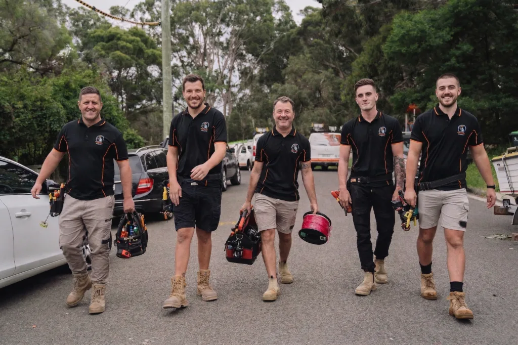 Professional electrical services in Rose Bay